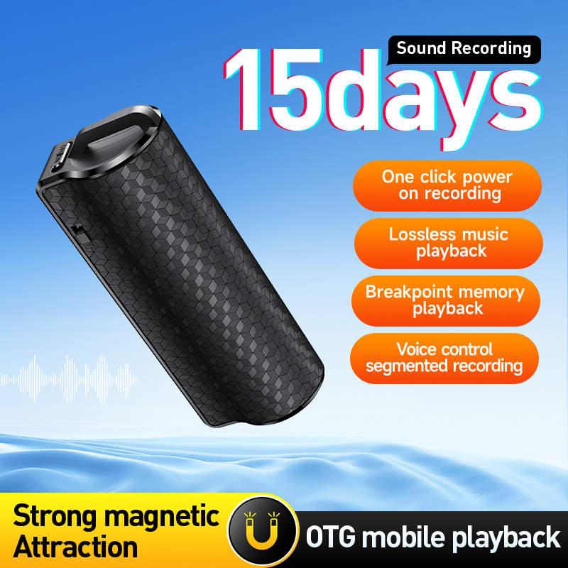 Voice Recorder Pen - Professional Voice Recorder Digital Audio Dictaphone